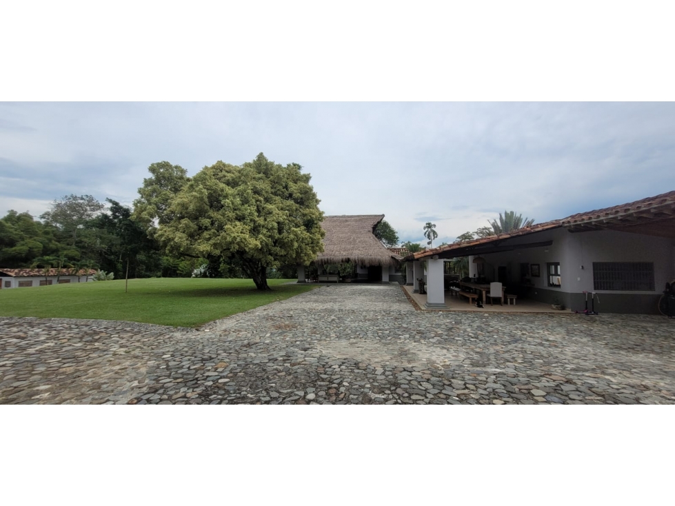 Venta finca en Venecia en el suroeste Antioqueño — foto 2