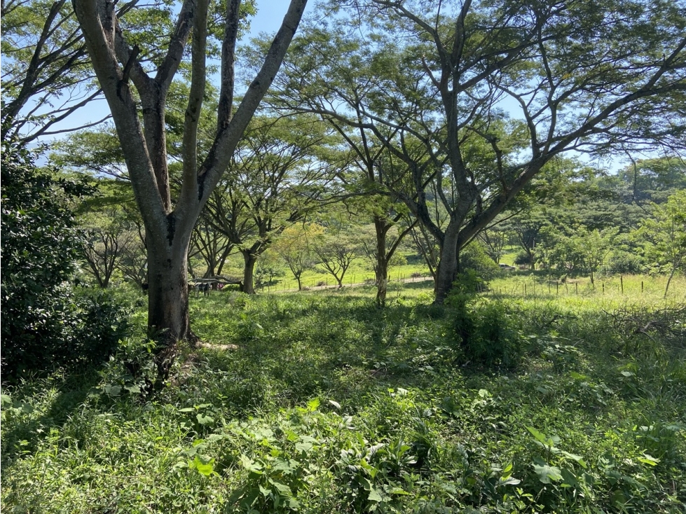 Venta de lote en Puente Iglesias - Suroeste Antioqueño - 5
