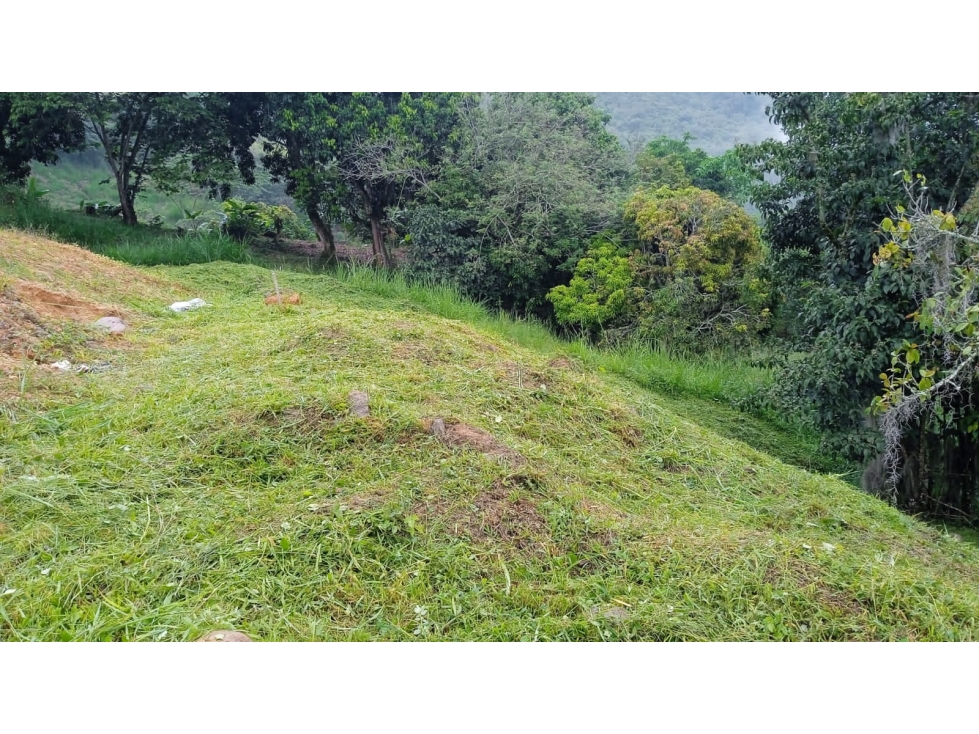 VENTA DE LOTE EN LA ALBANIA, TITIRIBI - ANTIOQUIA - 5
