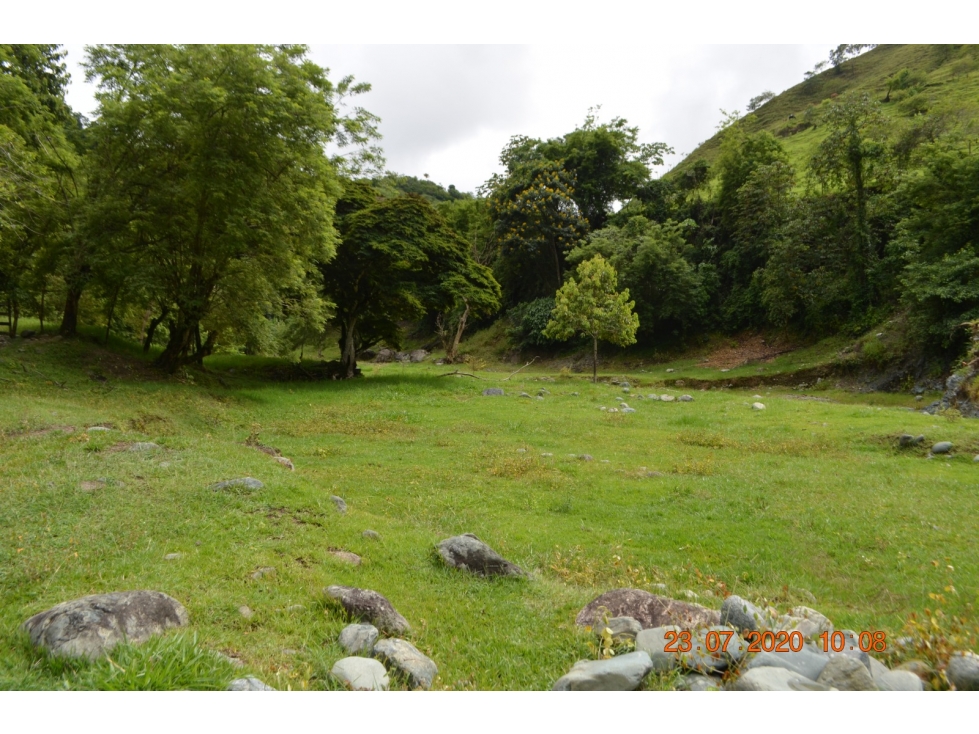 Venta finca en Sta. Barbara, Poblanco, Suroeste antioqueño - 5