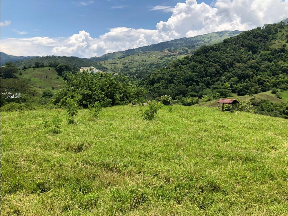 Vende lote Siria Titiribí Suroeste Antioqueño - 6