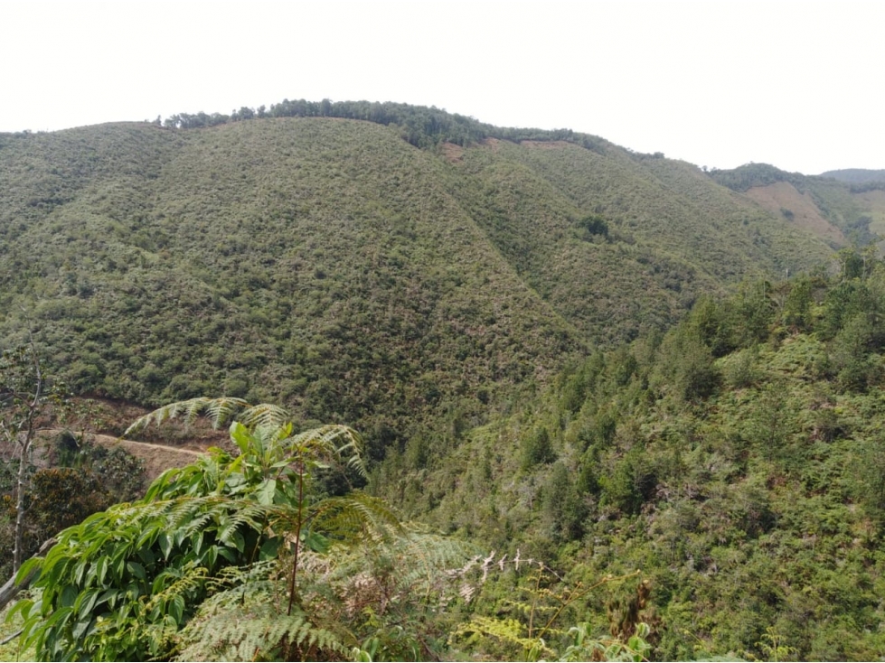 Venta lote Urrao Suroeste antioqueño - 6