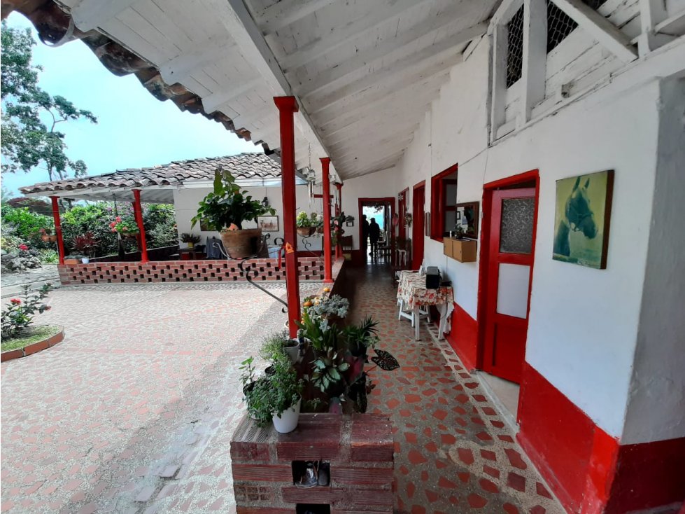 Venta finca Fredonia Zancudo Suroeste antioqueño - 4