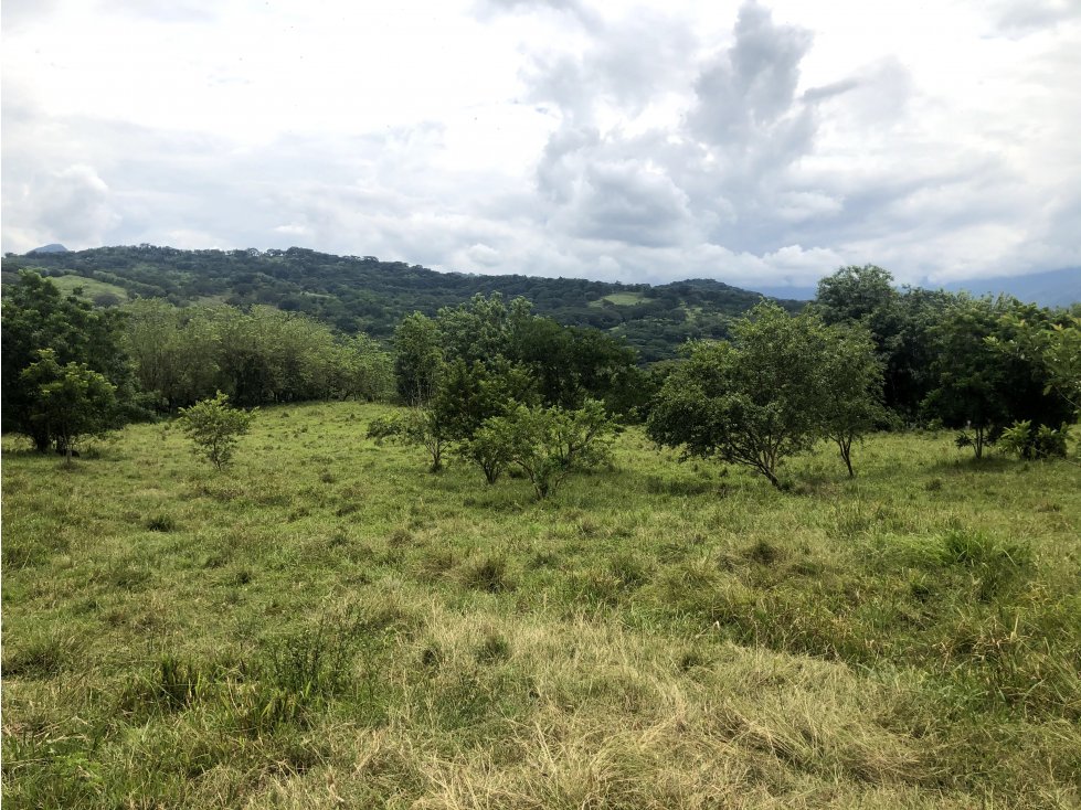 Venta lote Tamesis - Suroeste Antioqueño - 6