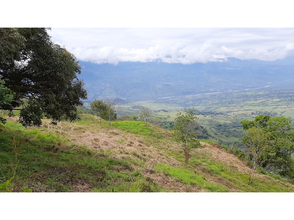 Venta Lotes Fredonia suroeste antioqueño - 2