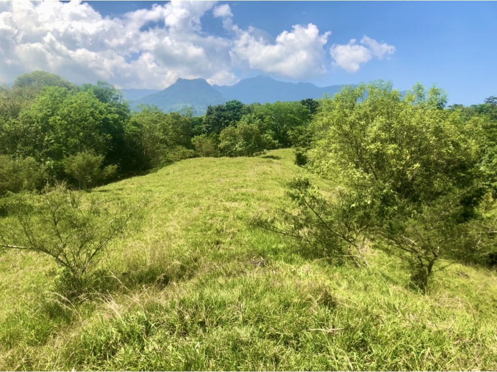 Venta de lote Puente Iglesias - Suroeste Antioqueño - 5