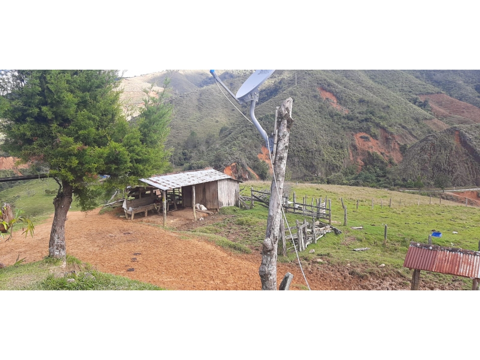Venta finca en Urrao Suroeste Antioqueno - 4