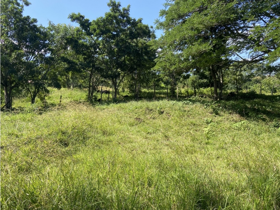 Venta de lote en Puente Iglesias - Suroeste Antioqueño - 6