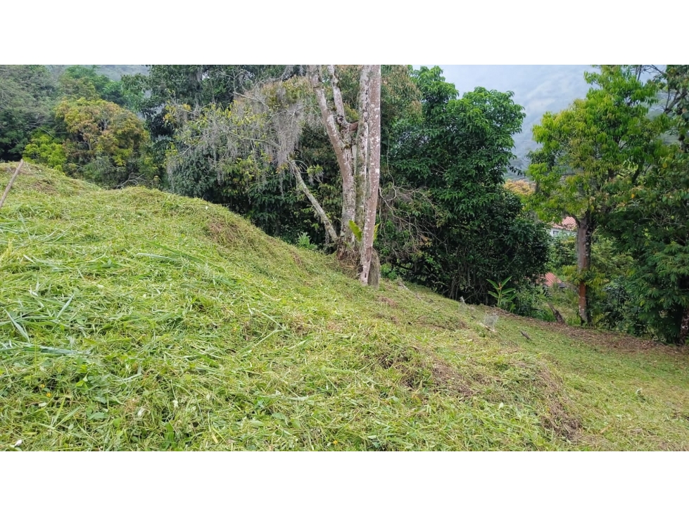 VENTA DE LOTE EN LA ALBANIA, TITIRIBI - ANTIOQUIA - 6