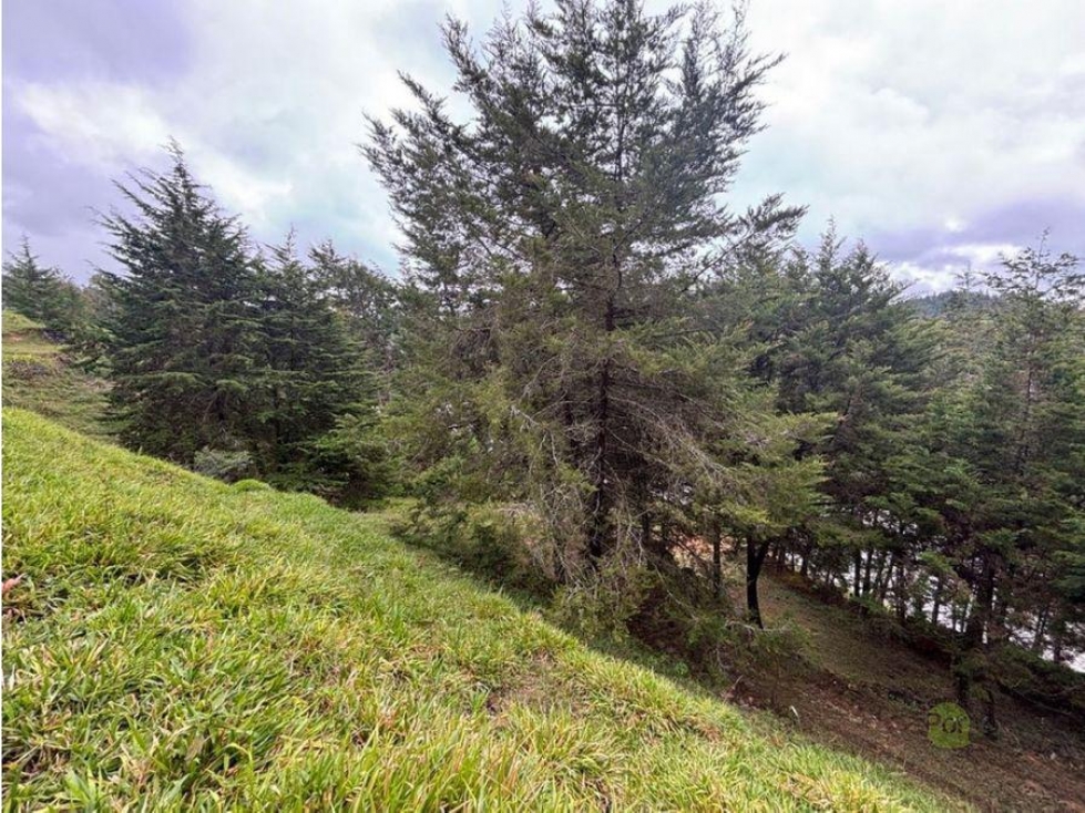Venta lote en vereda la mosquita, Rionegro, antioquia — foto 6