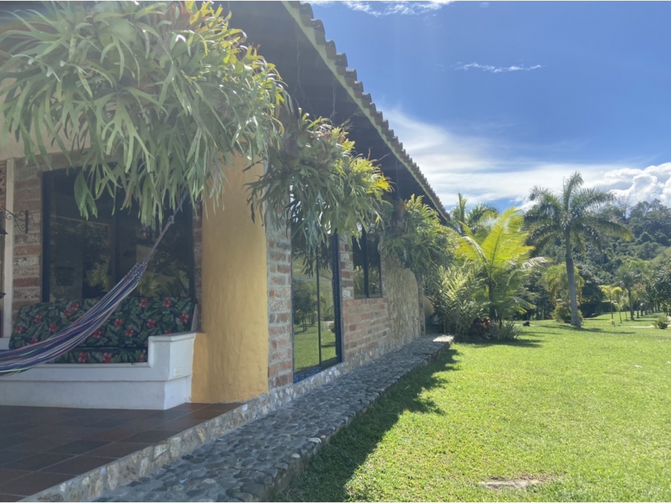 Venta de finca Venecia - Suroeste Antioqueño - 5