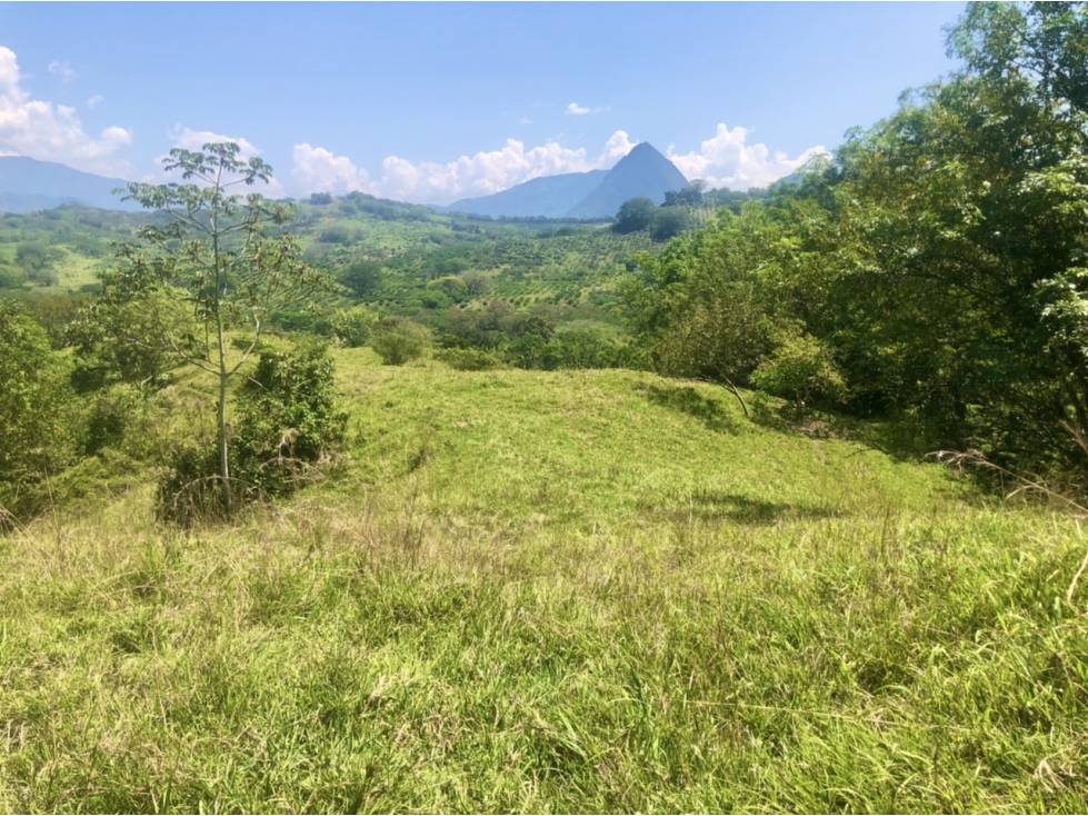 Venta de lote Puente Iglesias - Suroeste Antioqueño - 6