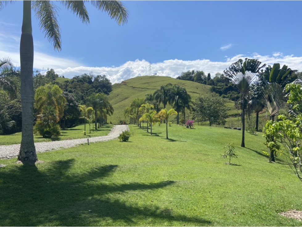 Venta de finca Venecia - Suroeste Antioqueño - 4