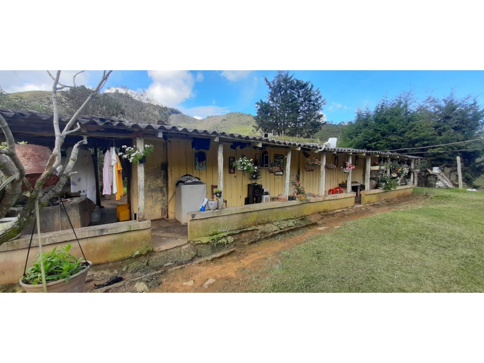 Venta finca en Urrao Suroeste Antioqueno - 6