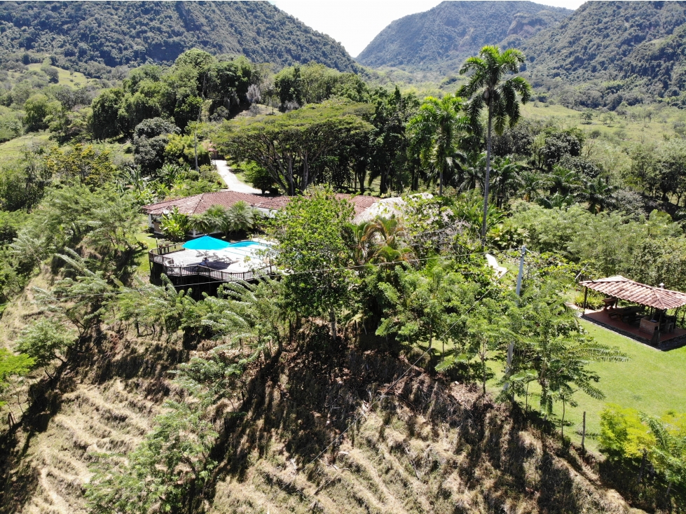 Finca en venta - Venecia Antioquia - 3