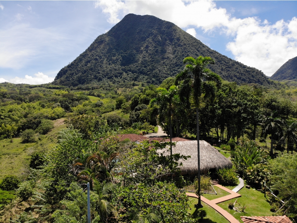 Finca en venta - Venecia Antioquia - 5