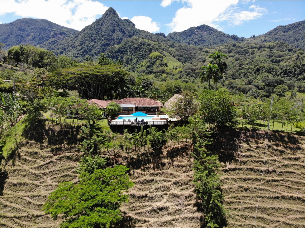 Finca en venta - Venecia Antioquia - 2