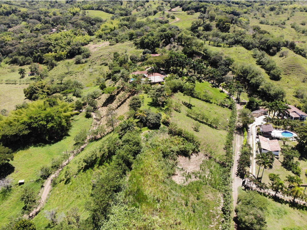 Finca en venta - Venecia Antioquia - 6