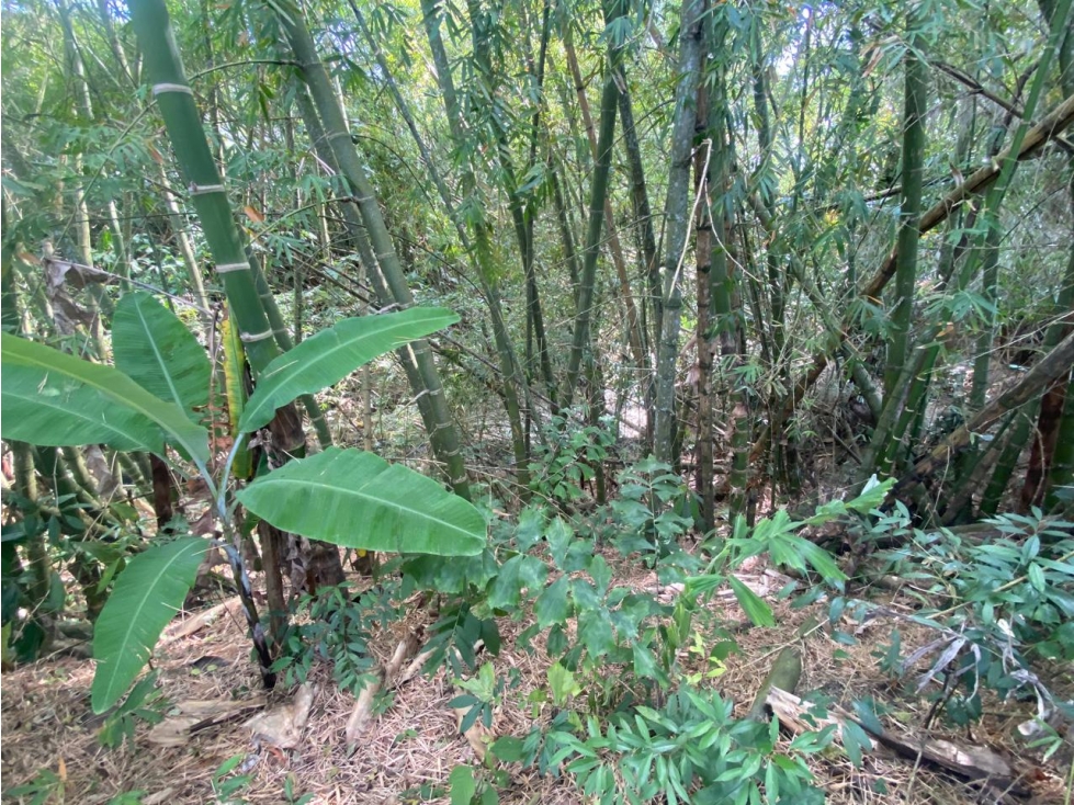 VENDO LOTE VIA CALAMBEO — foto 5