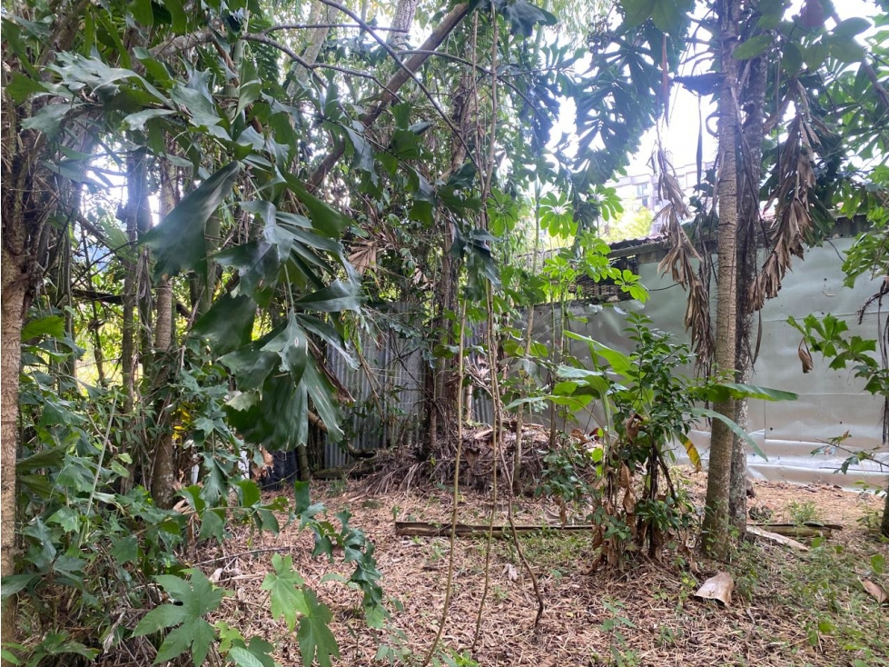 VENDO LOTE VIA CALAMBEO — foto 6