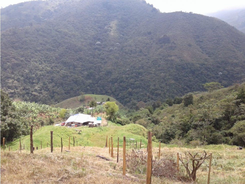 SE VENDE FINCA EN CALARCA QUINDIO - 3