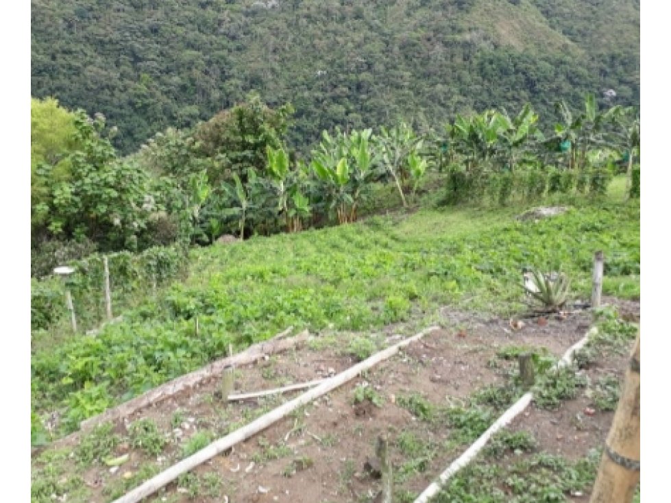 SE VENDE FINCA EN CALARCA QUINDIO - 6