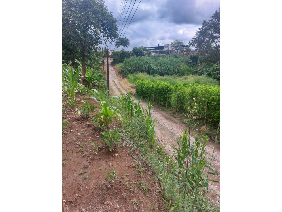 SE VENDE LOTE EN TEBAIDA