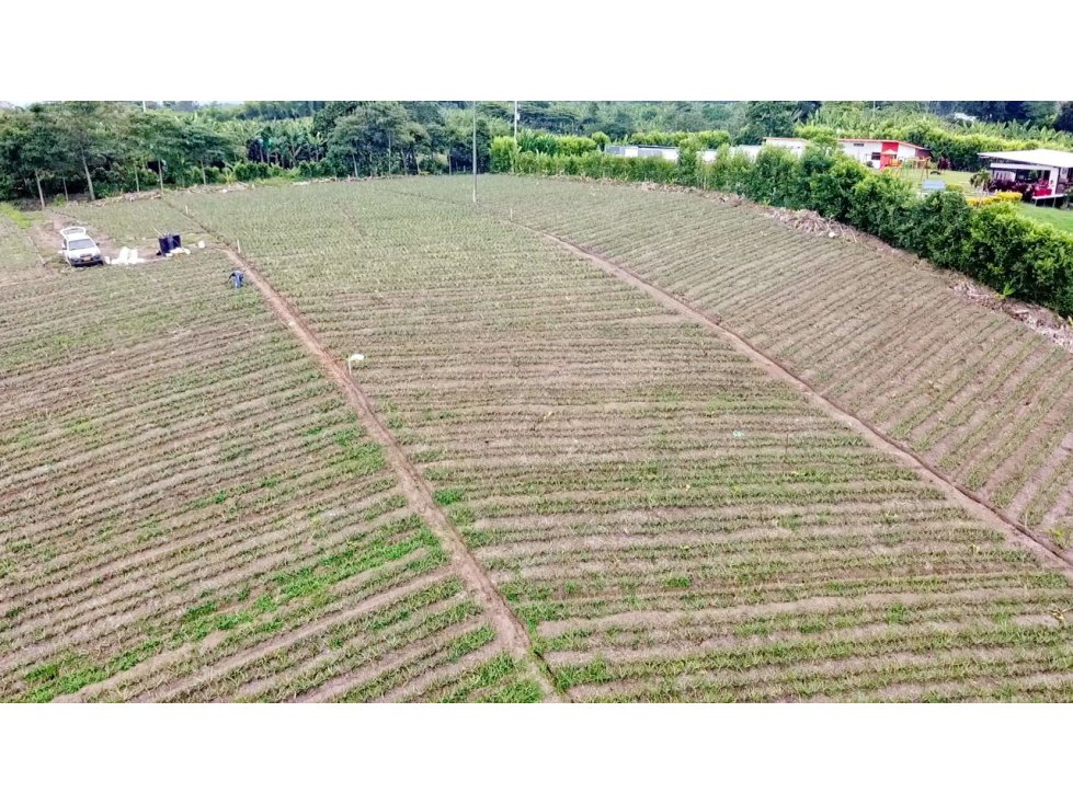 VENTA PROYECTO CASAS CAMPESTRES PUEBLO TAPAO — foto 2