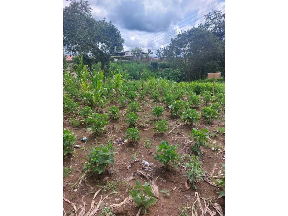SE VENDE LOTE EN TEBAIDA — foto 3