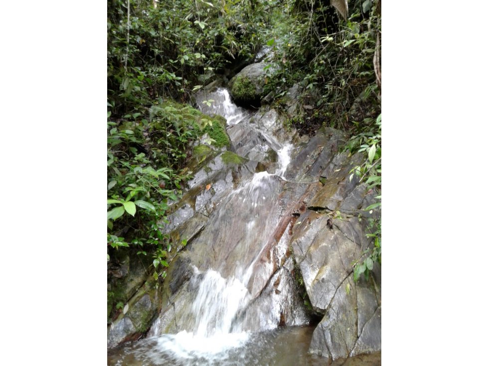 SE VENDE FINCA EN CALARCA QUINDIO - 5