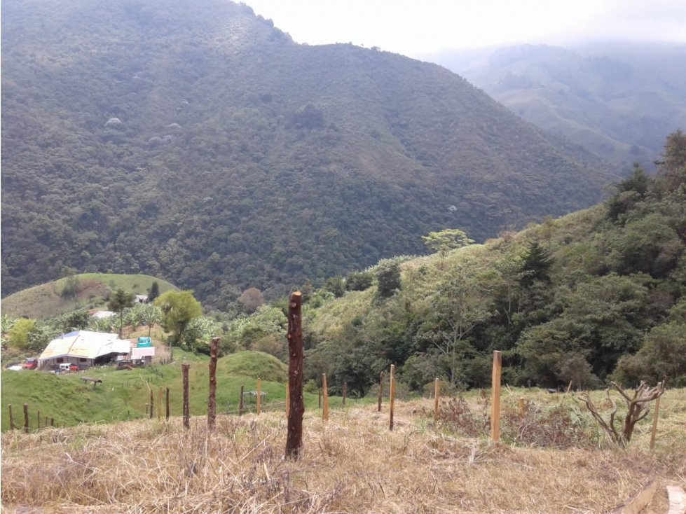 SE VENDE FINCA EN CALARCA QUINDIO - 2