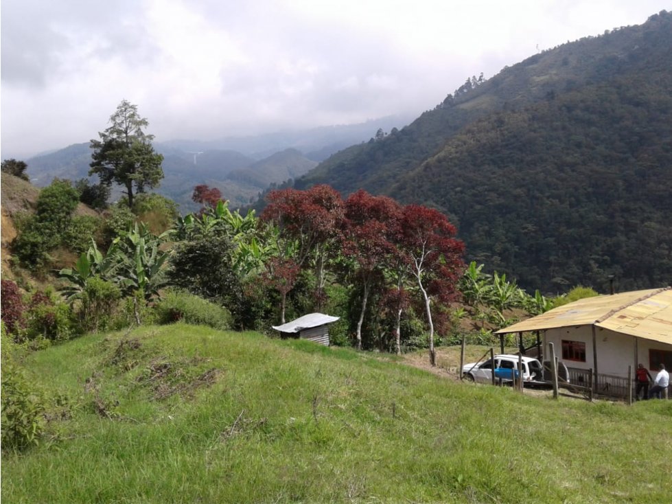 SE VENDE FINCA EN CALARCA QUINDIO - 1