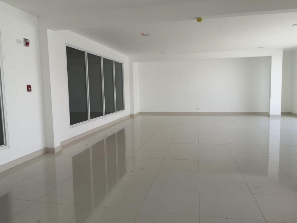 Bodega en Panapark Free Zone — foto 4