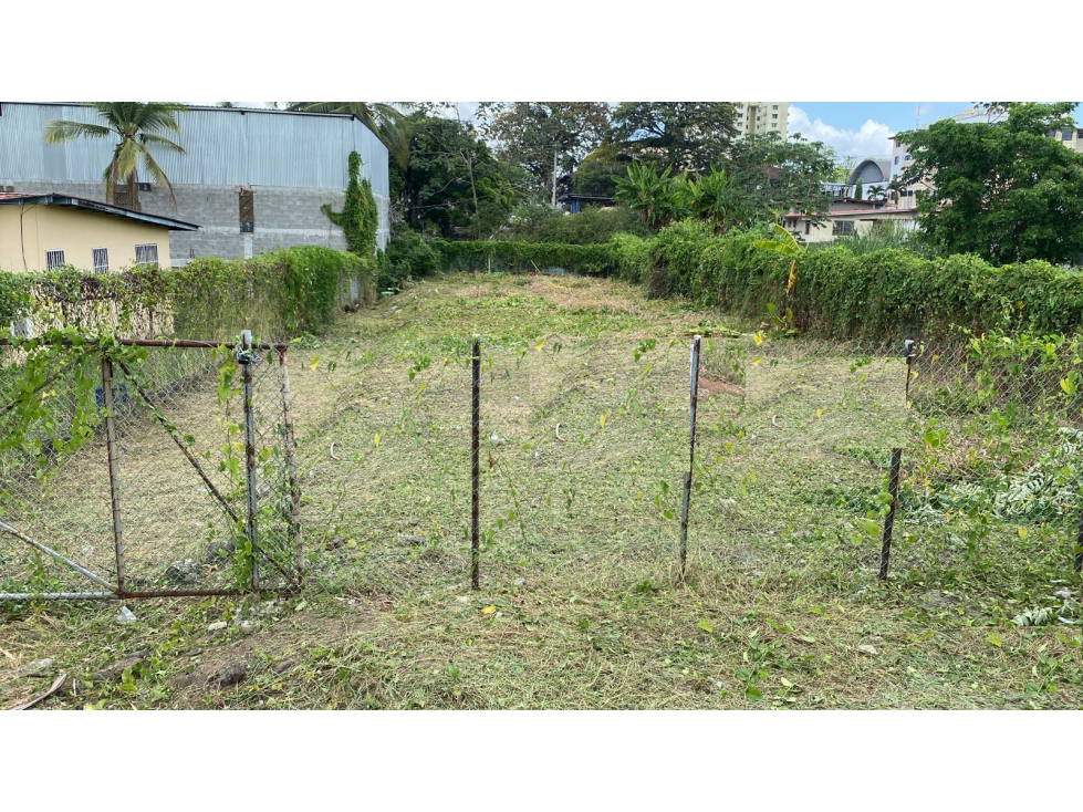 Lote en Parque Lefevre — foto 2