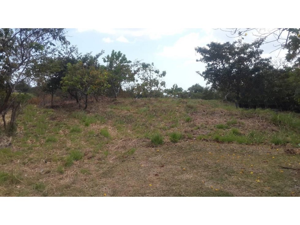 Terreno en Coronado — foto 4