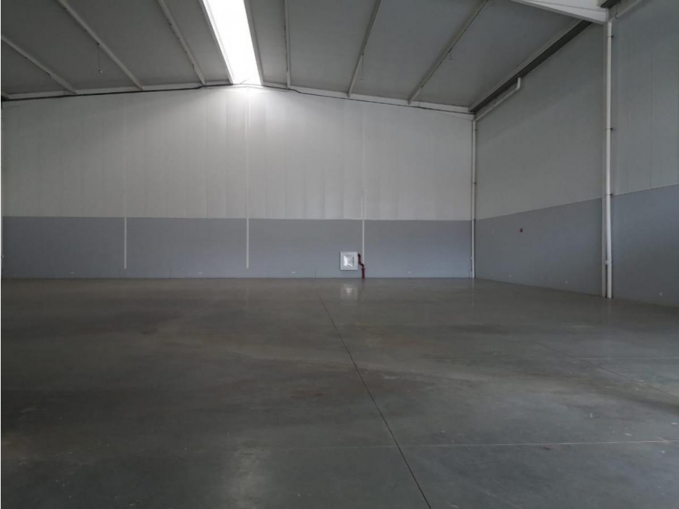 Bodega en Panapark Free Zone — foto 5