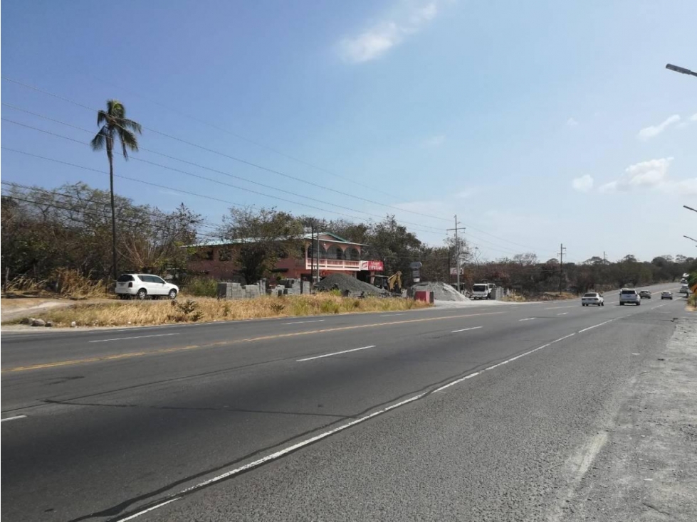Terreno de 4.3 Has en San Carlos — foto 6