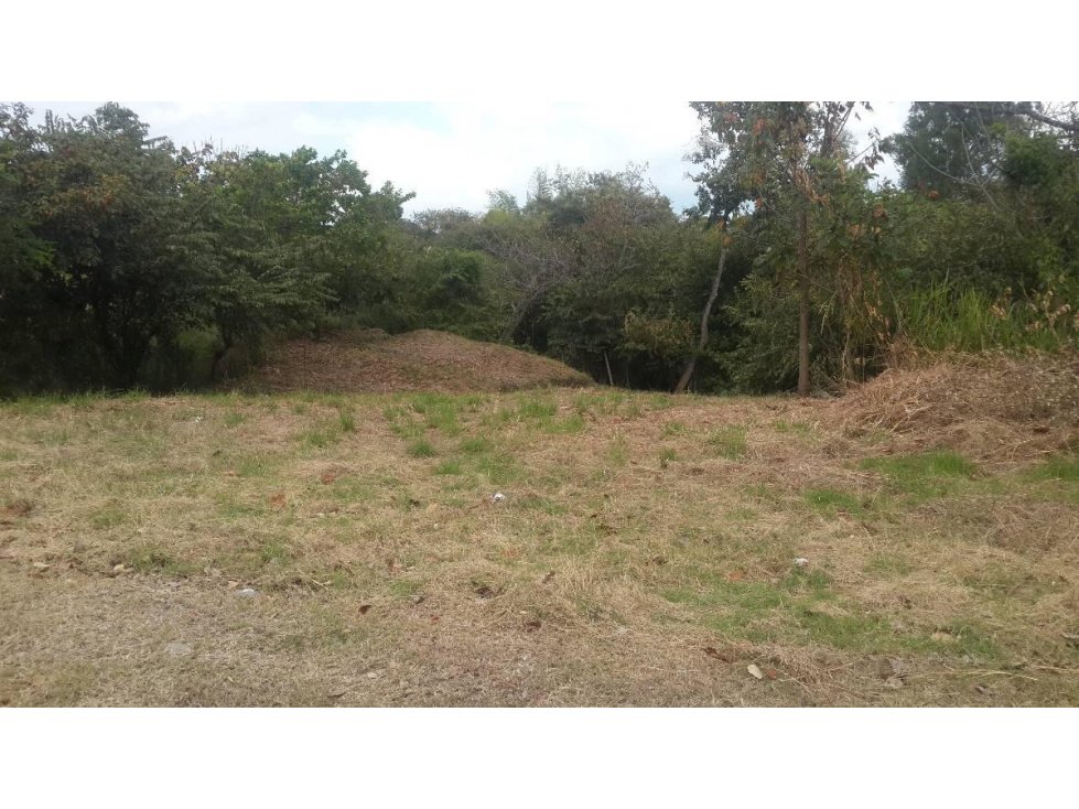 Terreno en Coronado — foto 5