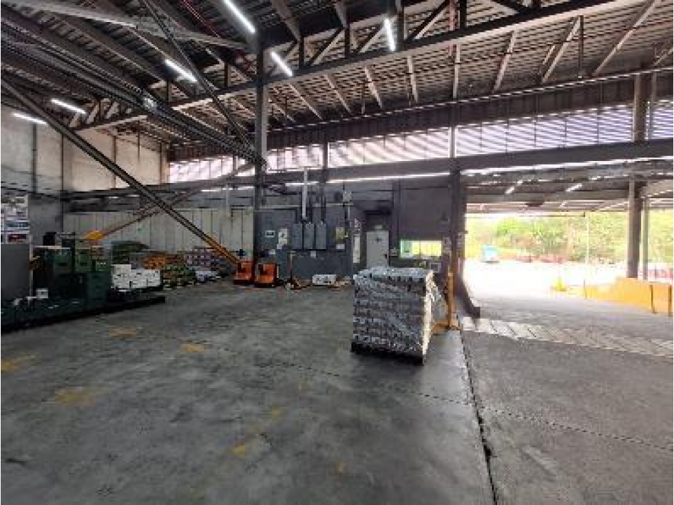 Amplia Bodega en Arraiján — foto 6