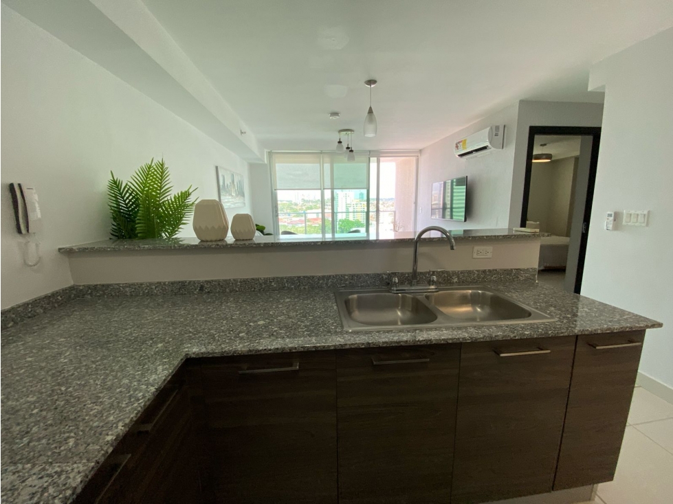 SEA CONFIABLE VENDE APARTAMENTO PH MIDPARK 3 RECAMARAS — foto 4