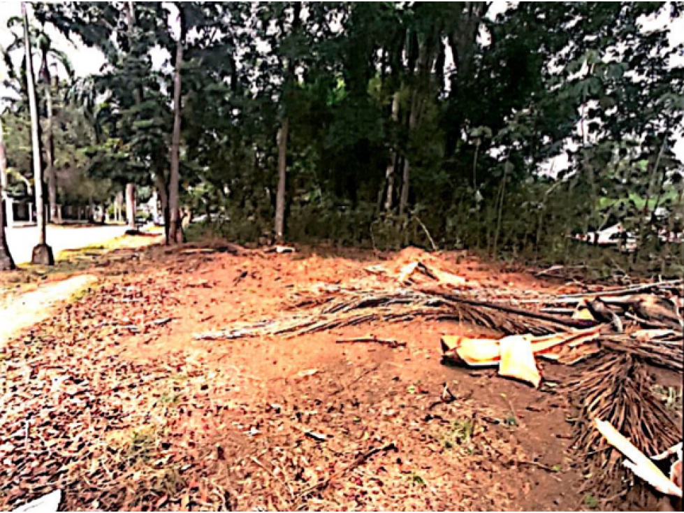 SEA CONFIABLE Vende Lote en Curundu, Ancon
