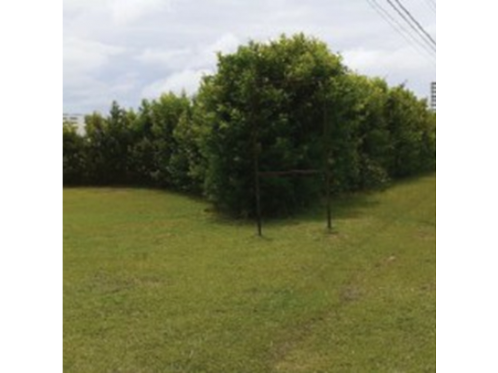 SEA CONFIABLE VENDE TERRENO EN RIO HATO - 2
