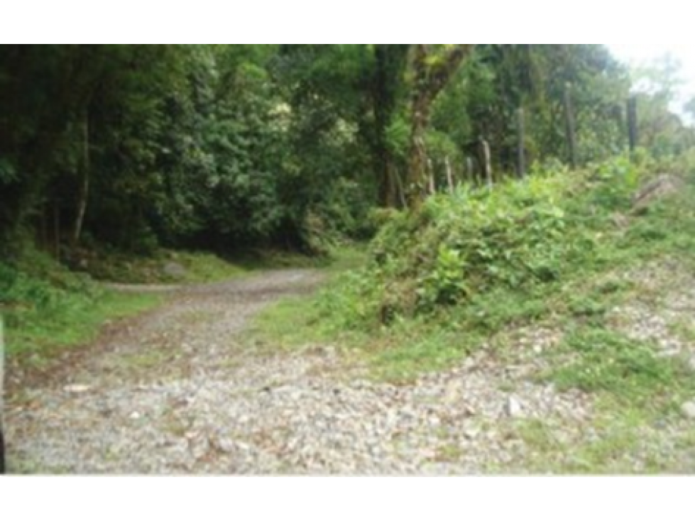 SEA CONFIABLE VENDE TERRENO EN CHIRIQUI - 2
