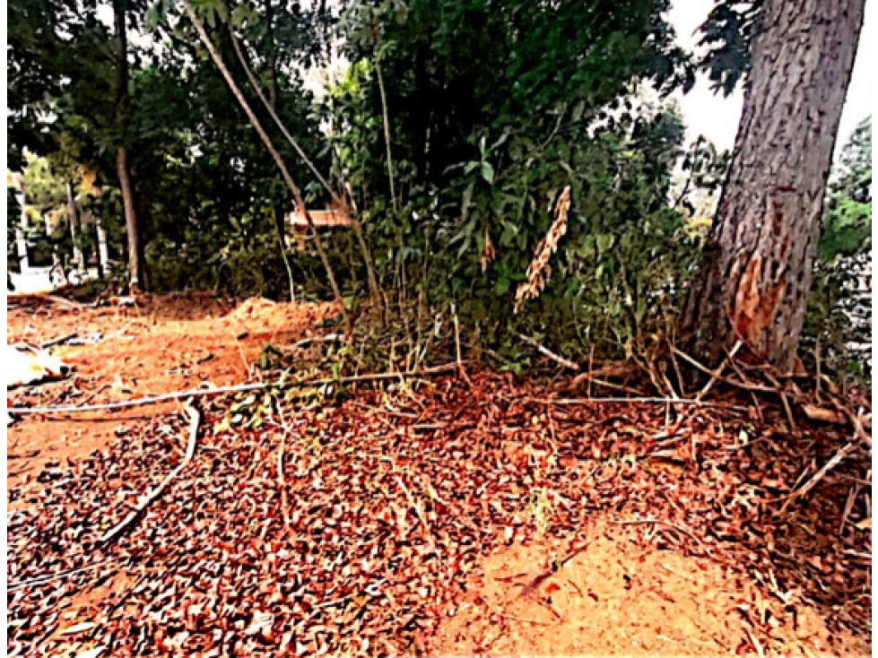 SEA CONFIABLE Vende Lote en Curundu, Ancon — foto 2