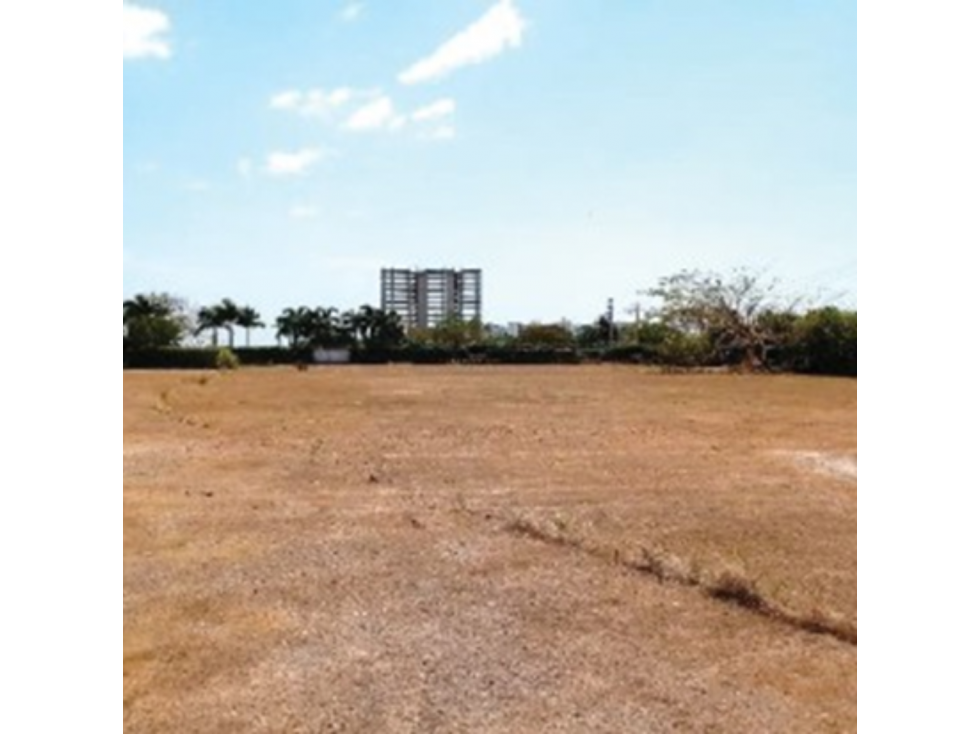 SEA CONFIABLE VENDE TERRENO EN RIO HATO - 1