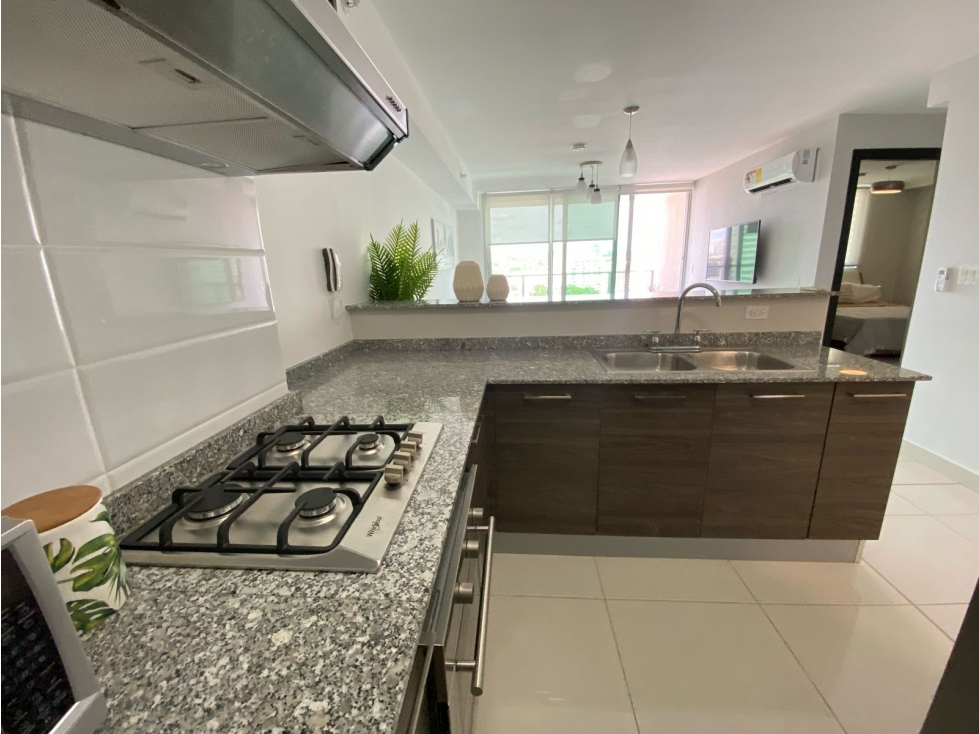 SEA CONFIABLE VENDE APARTAMENTO PH MIDPARK 3 RECAMARAS — foto 6