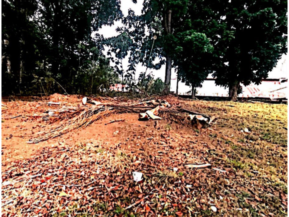 SEA CONFIABLE Vende Lote en Curundu, Ancon — foto 4