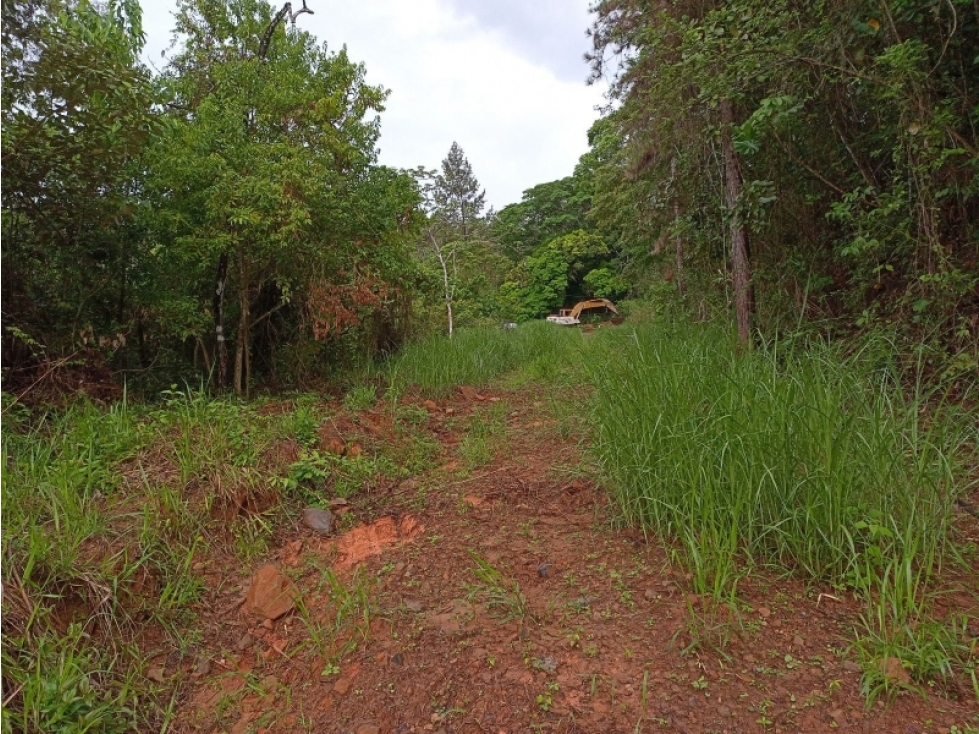 SEA CONFIABLE VENDE TERRENO EN PACORA - 4