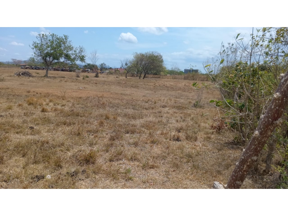 SEA CONFIABLE VENDE TERRENO EN PENONOME - 1
