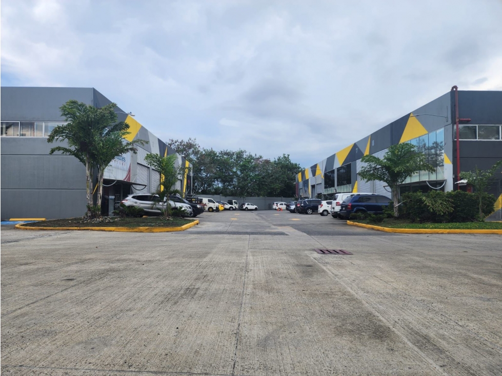 Galera Comercial 320 m² Showroom Oficina y Almacenaje en un Solo Lugar - 5